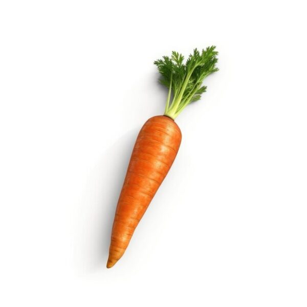 Fresh carrot - Image 2