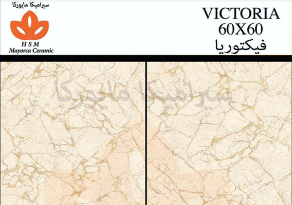 Victoria 60×60