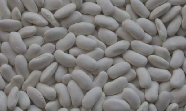 Egyptian beans