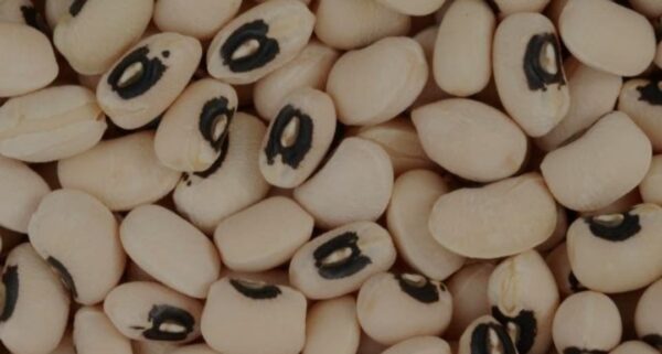 Egyptian beans